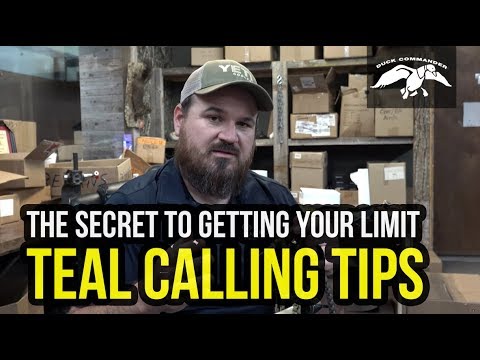 Teal Calling Tips - Learn how to COMMAND the Ducks