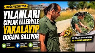 Yılanları Çıplak Elleriyle Yakalayıp Doğaya Salıyor