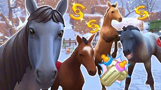 How much money can you make from breeding horses?
