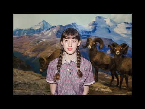 Frankie Cosmos - Country Suicide