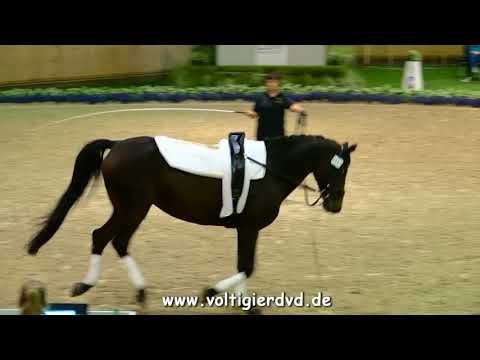 Lara Häussermann - Damen 24 - DJM Voltigieren Aachen 2017