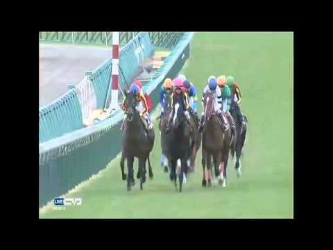 2015.12.27 Hopeful Stakes (JPN) - Hartley