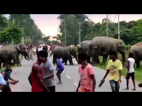 🦣🦣🦣🦣🦣🦣🦣🦣🦣🦣🦣🦣🦣🦣🦣🦣🦣🦣🦣🦣🦣🦣🦣🦣🦣🦣🦣🦣🦣🦣🦣🦣🦣🦣🦣🦣🦣🦣🦣🦣🦣🦣🦣🦣🦣🦣🦣🦣