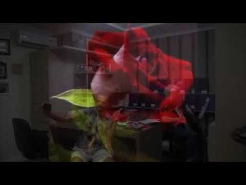 Navihanke - com acordeon Roland Fr8X