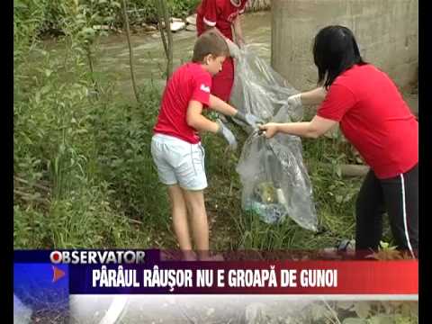 Stire 3, 10 Mai 2010, Paraul Rausor nu e groapa de gunoi.avi