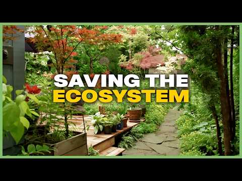 All The Big Things - Uphill Gardeners