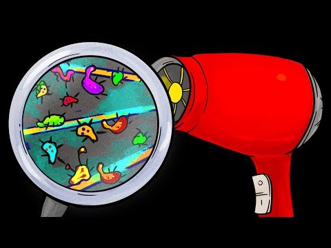 Don't Use a Hotel Hair Dryer and 19 Other Secrets