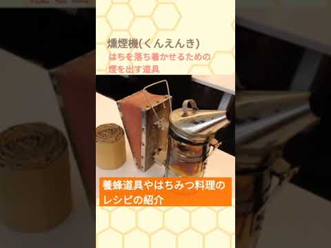 商学科 京都産業大学ショートムービー1