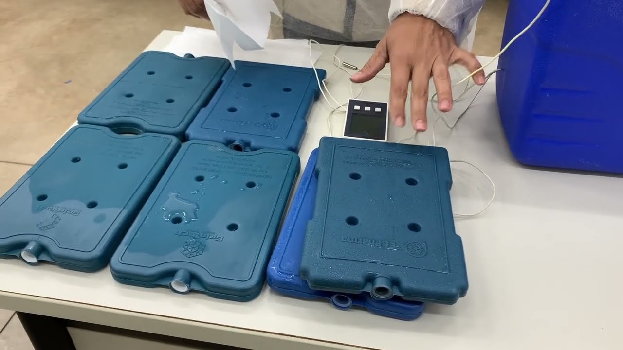Organização da caixa térmica de uso diário para imunobiológicos