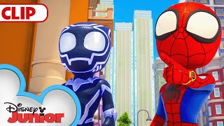 Spidey & Black Panther Save the Panther Pod | Marvel's Spidey and his Amazing Friends |@disneyjunior
