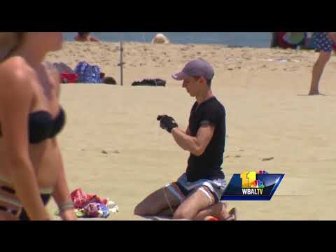 Video: Study finds wind farm off Ocean City coast will not have negative impact