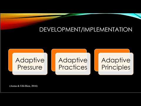 Fassler Complexity Leadership Theory Presentation