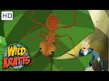 Wild Kratts | Leafcutter Ants |Nature