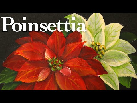 Poinsettia acrylic painting tutorial ( in 3 Minutes )
