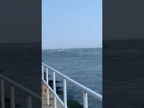 42 ocean yacht ocean city inlet