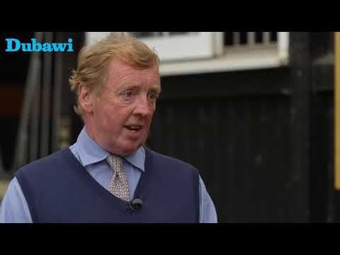 2021 Stallion show - Dubawi