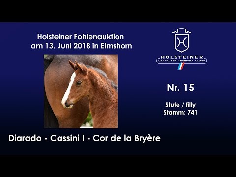 Holsteiner Fohlenauktion im Juni | Nr. 15 v. Diarado - Cassini I