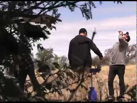 AV17.8 - Vans Fieldtrip