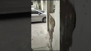 2 BHK Flat for Sale in Sector 5 Rohini, Delhi