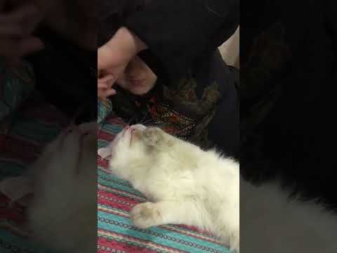 Doaa with adorable snowbell || Doaa’s Diary