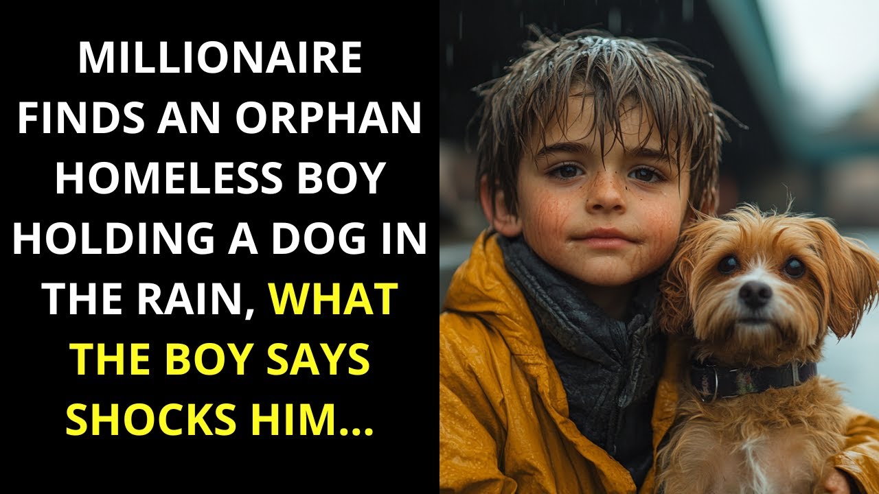 Millionaire finds an orphan homeless boy holding a dog in the rain, what the boy says shocks him...