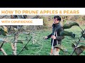 How to Prune Apple & Pear Trees With Confidence
