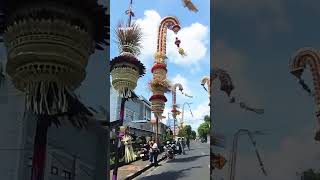 クロボカンのペンジョール祭りへ😊観るべし