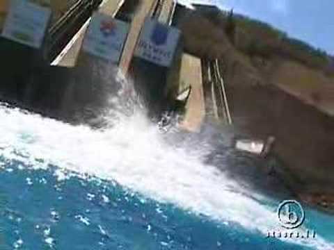 Eric Bergoust Freestyle Aerials Gold Medalist