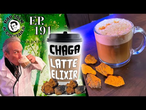 What is CHAGA? - Chaga Latte Elixir with Chaga Mushroom Tea | BAR TALK