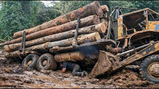 Overloaded Logging Trucks Nearly Tip Over! Heavy Truck Recovery & Off-Road Rescue Compilation