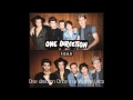 One Direction Once In A Lifetime acoustic 