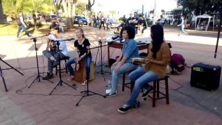 Opinião (Nara Leão) - Manada cover