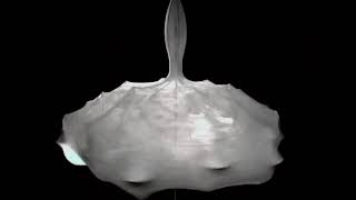 Watch how FLOS uses its "Cocoon" material to create unique lighting designs