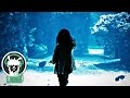 Steven Cravis - Keep Trying | Best Relaxing Piano Music