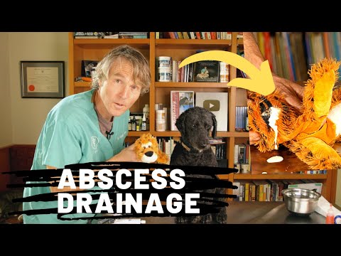 Abscess Drainage At Home
