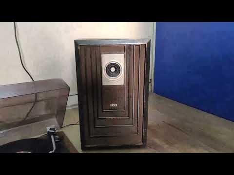Vintage Akai SW 120 Speakers with Cosmic turntable