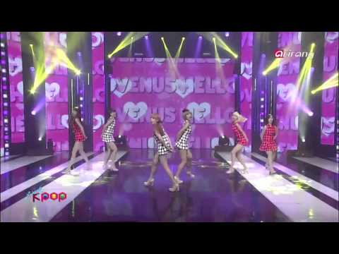 Hello Venus "Do You Want Some Tea?" Live Mix