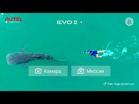 Настройка голосовых уведомлений на русском в программе Autel Explorer