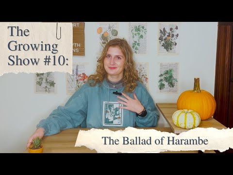 Episode #10: The Ballad of Harambe