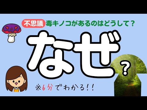 一部のキノコが光る理由
