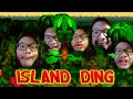 Island Ding STOP POSTING ABOUT DONKEY KONG Full Song