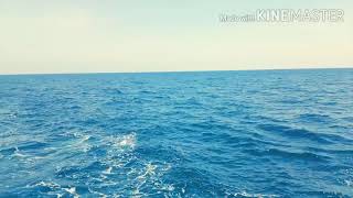 Download lagu Lagu kisah cinta pelaut mp3
