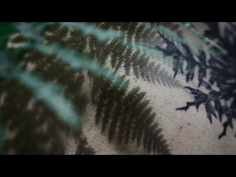 Dziewięćsił z Góralami | NOWA KOSZULKA TS PODBESKIDZIE 2021/22