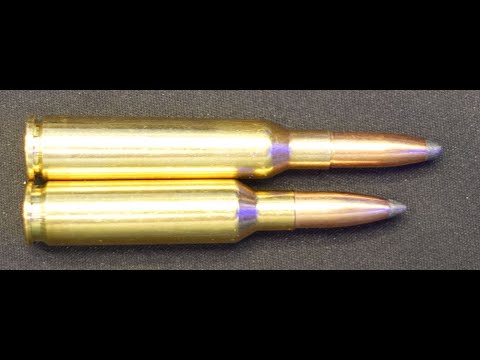 6,5 Creedmoor vs. 6,5x55 Schwedisch