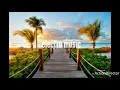 Avicii friend of mine ft Vargas & Lagola Avicii friend of mine ft Vargas & Lagola