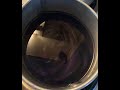 IMG 3248