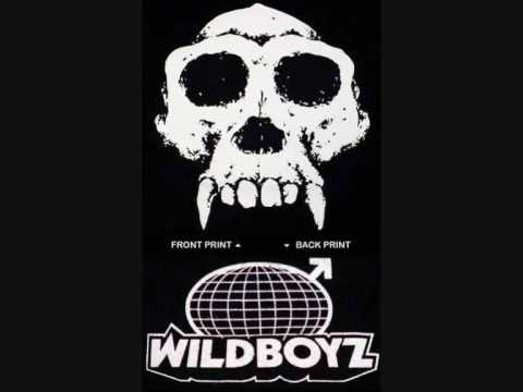 Wildboyz Theme Song