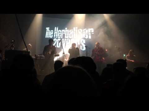 THE HERBALISER feat: RODNEY P @ VILLAGE UNDERGROUND.
