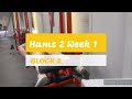 DVTV: Block 2 Hams 2 Wk 1