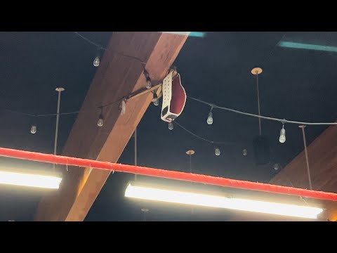 CWE Live in Winnipeg, MB - The 5 Man Scramble Ladder Match for the CWE Junior Heavyweight Champion